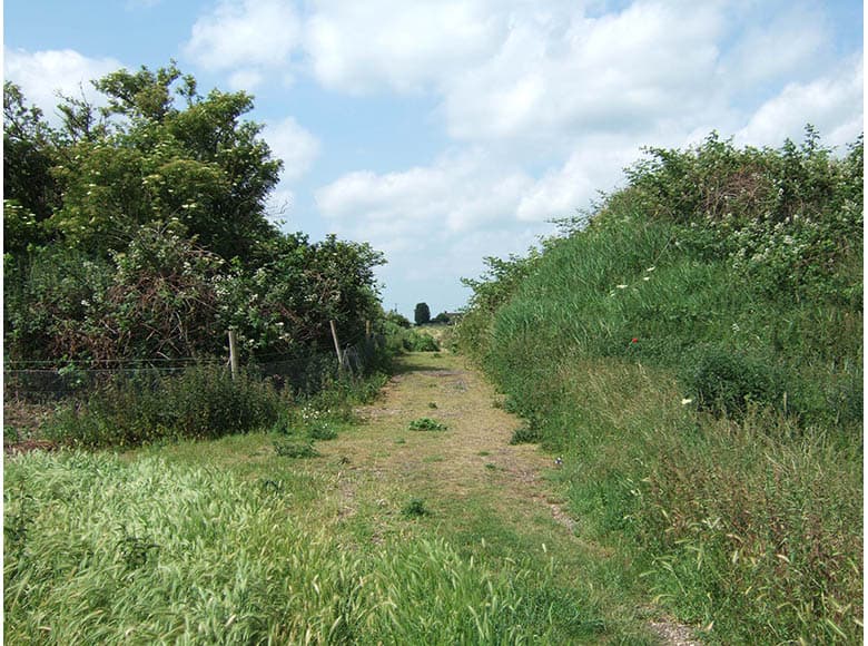 Ring's End Nature Reserve